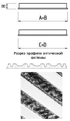 �������. �����